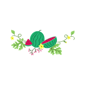 Transparent watermelon blossom border clipart