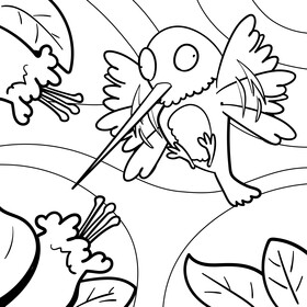 Hummingbird cartoon black and white vector