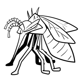 Mosquito cartoon black and white clipart