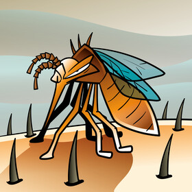 Mosquito cartoon vector