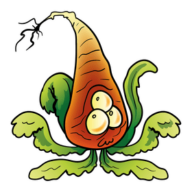 Carrot cartoon clipart