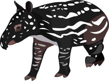 Tapir clipart