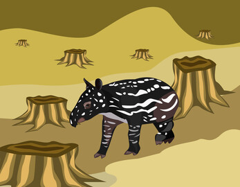 Tapir vector image