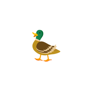 Duck clipart