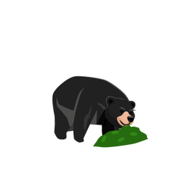 Bear eat clipart