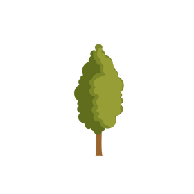 Isolated tree clipart