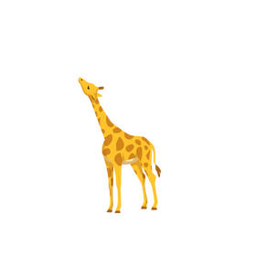 Giraffe clipart