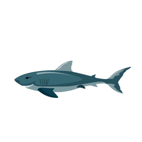 Scary shark clipart