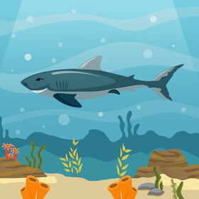 Shark vector