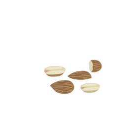 Nuts clipart