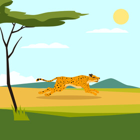 Cheetah vector