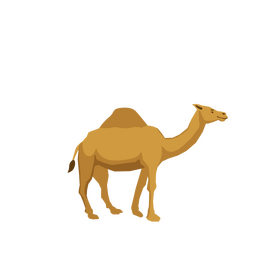 Camel clipart