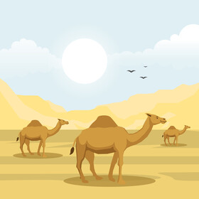 Camel vector