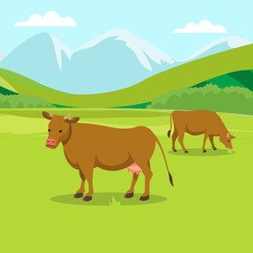 Cow vector