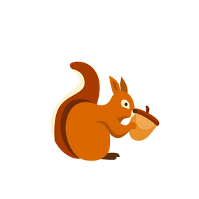 Squirrel clipart