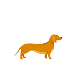 Sausage dog clipart