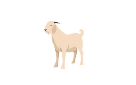 Goat clipart