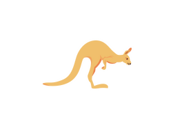 Kangaroo clipart