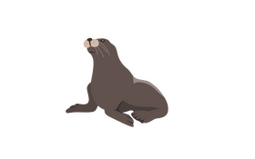 Seal animal clipart