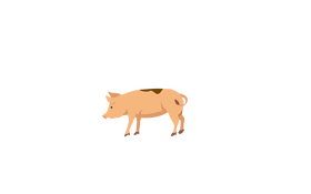 Pig clipart