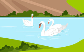 Swan vector