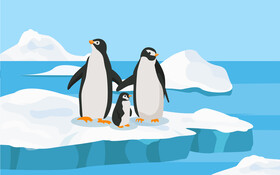 Penguin vector