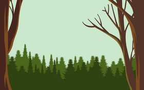 Forest tree vector