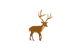 Deer clipart