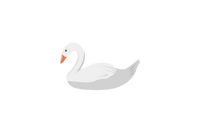 Swan clipart