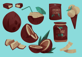 Coconut vector