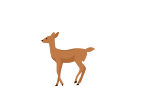 Deer clipart