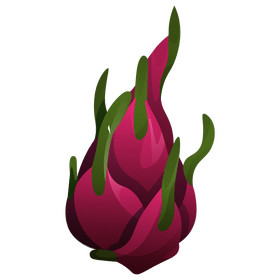 Dragon fruit, pitaya clipart