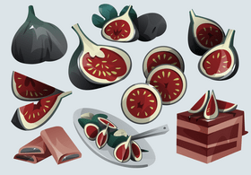 Fig vector