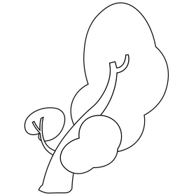 Cartoon tornado destroying tree black and white clipart