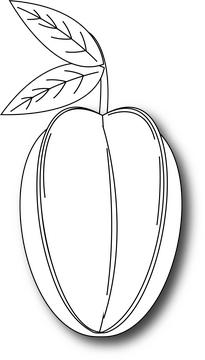 Starfruit black and white clipart