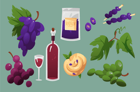 Grapes vector