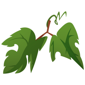 Grapes leaves clipart