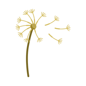 Dandelion, blow ball, wind clipart