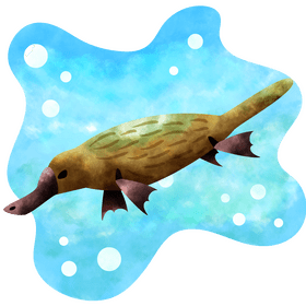 Platypus vector