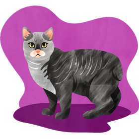 Manx cat vector