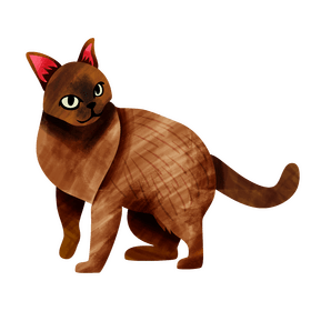 Burmese cat clipart
