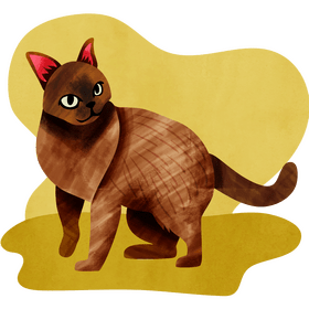 Burmese cat vector