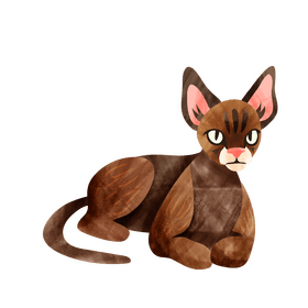 Devon rex cat clipart