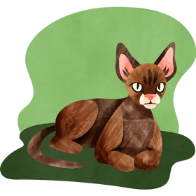 Devon rex cat vector