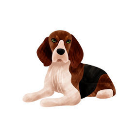 Beagle dog clipart