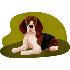 Beagle dog vector