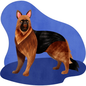 German shepherd dog vector