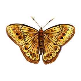 Northern pearly eye butterfly clipart