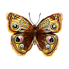 Buckeye butterfly clipart