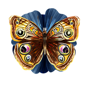 Buckeye butterfly vector